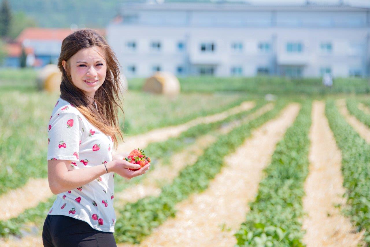 Erdbeerbäuerin Lisa Tempelmayr aus Gerersdorf bei St. Pölten am Erdbeerfeld mit roten Erdbeeren in der Hand