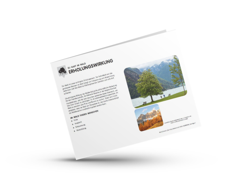 Infomaterial zu Wald in Österreich - Erholungswirkung