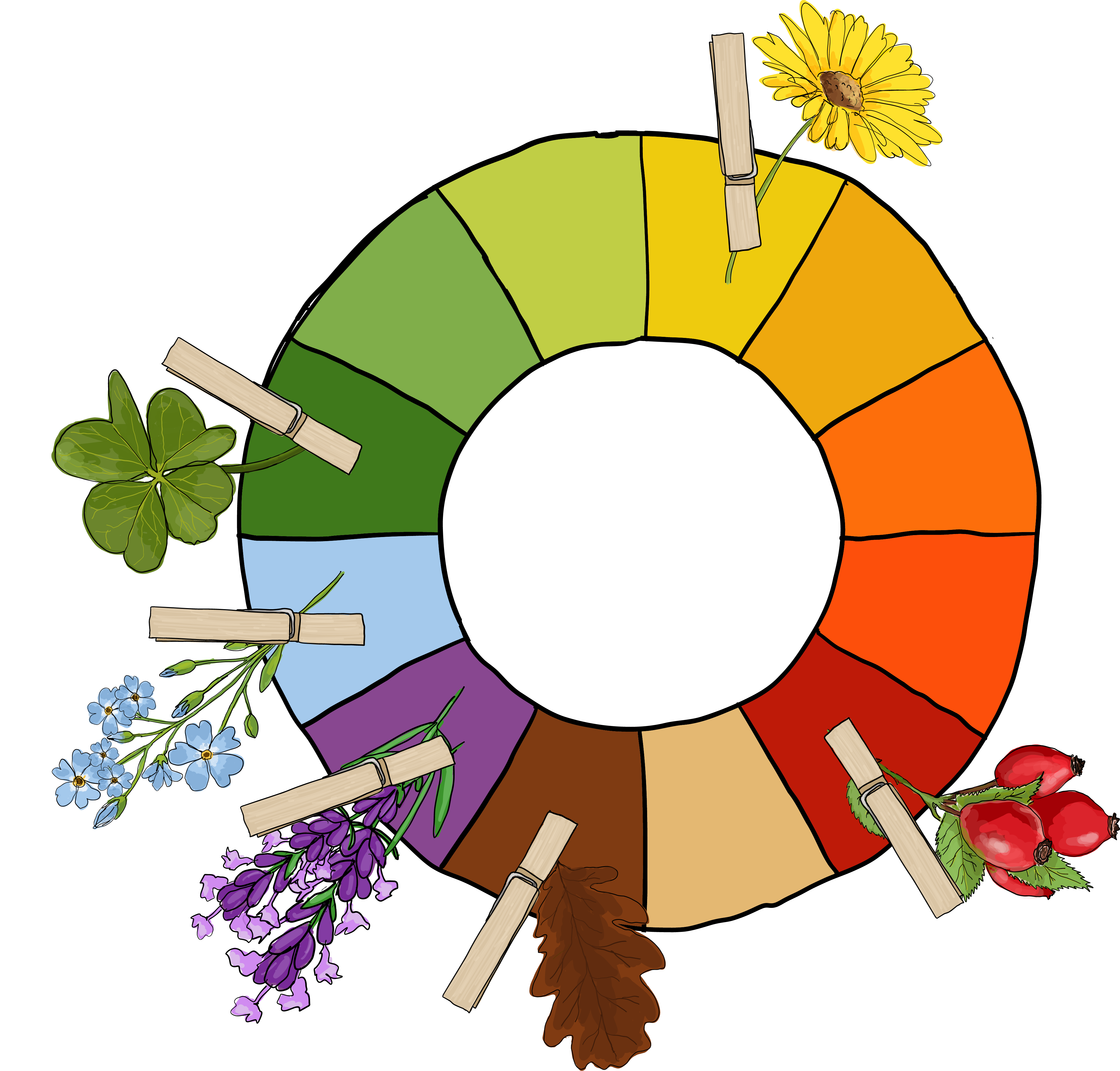 Farbenrad mit Naturmaterialien ©Eva Kail