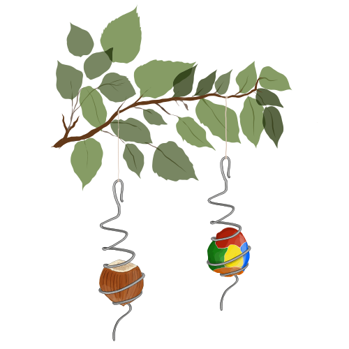 Windspinner auf einem Ast ©Eva Kail/LK Niederösterreich