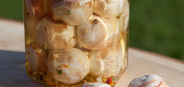 Gansberger Brigitte Titelbild