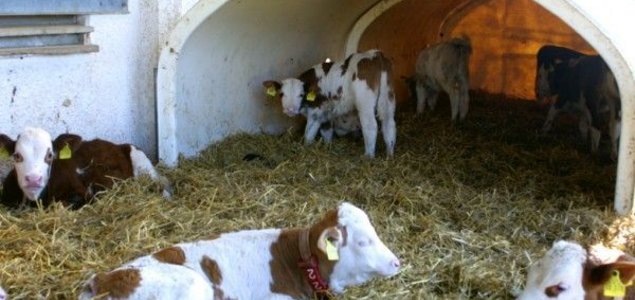 Landwirtschaftliche Fachschule Pyhra Titelbild