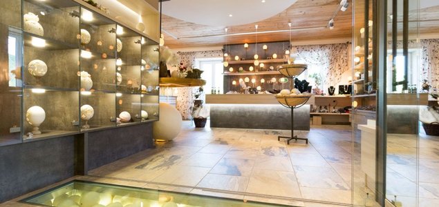 Straussenhof Ebner Titelbild