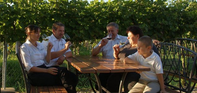 Weingut Öhlzelt GesbR Titelbild