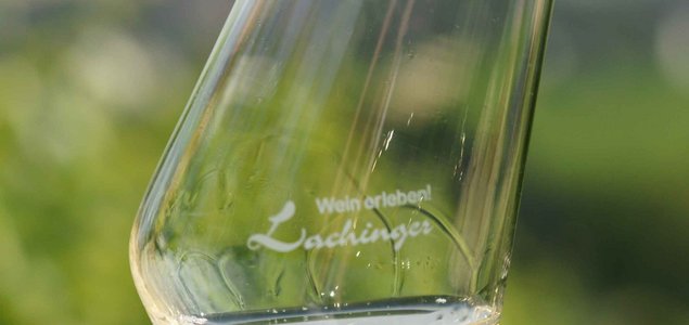 Weingut Lachinger Titelbild