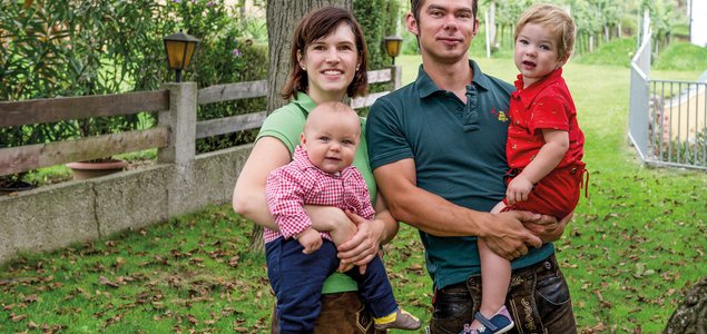 Der Baumgartner Titelbild