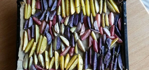 Erdäpfelhof Payer Titelbild