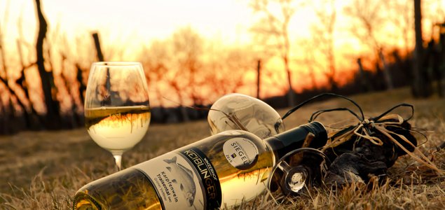 Heuriger Winzerhof Keiblinger Titelbild