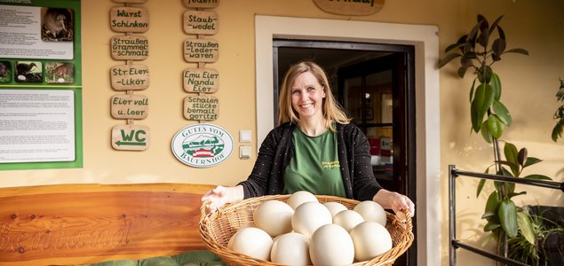 Straußenland im Kamptal Titelbild