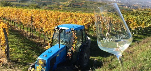 Winzerhof Holzheu - Familie Heigl Titelbild