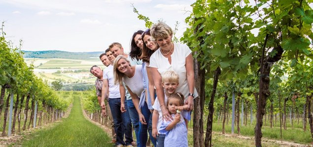 Weingut Zeitlberger Titelbild