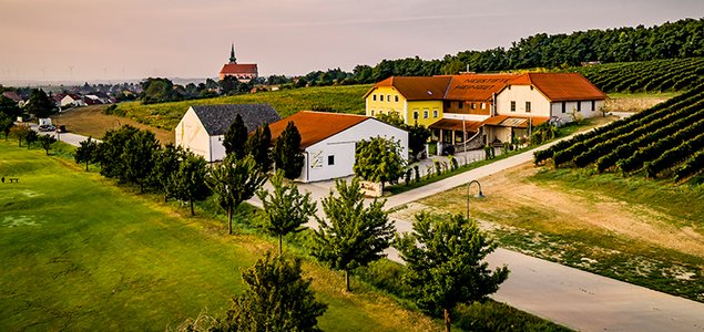 Weingut Neustifter & TOP Heuriger WEIN.KÜCHE Titelbild