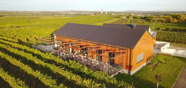 Weinterrasse Pulkau Titelbild