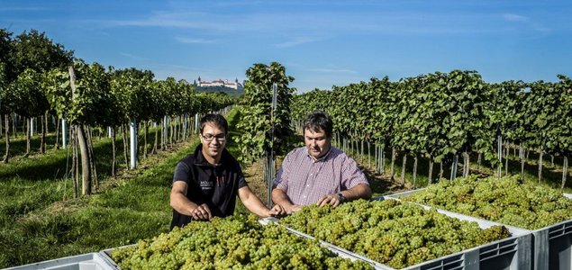 Weingut Müller Titelbild