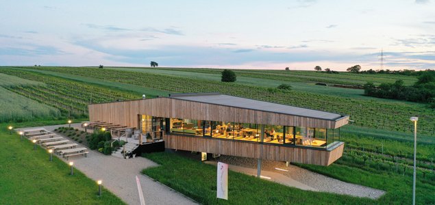 WEINGARTEN.rocks Titelbild