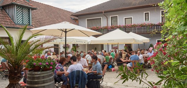 Weinhof Fink Titelbild