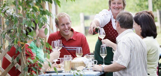 Sonnenheuriger Schleinzer-Hollweger Titelbild