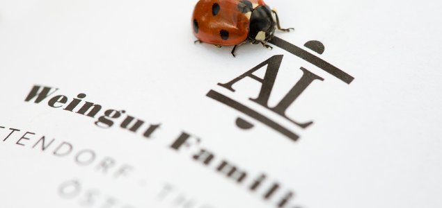 Weingut Familie Auer Titelbild